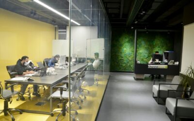 DYK – Cloud-Based Collaborative Environments 