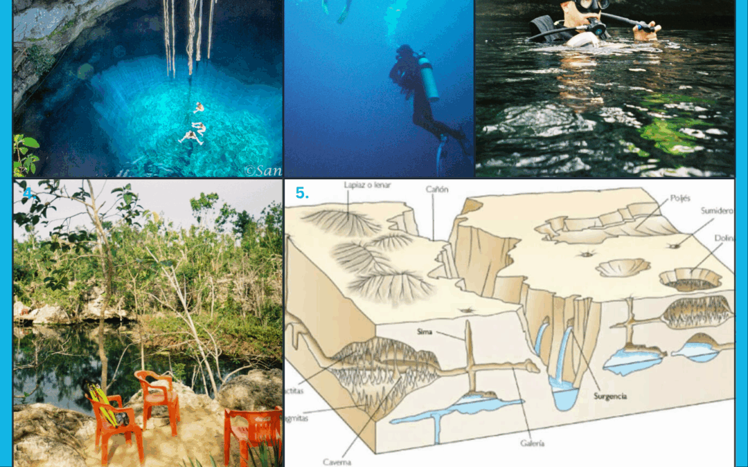 BM: Cenotes Jungle Diving