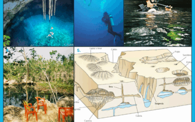 BM: Cenotes Jungle Diving