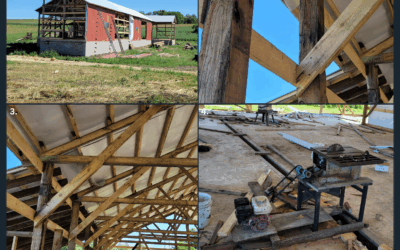 BM: Amish of Viroqua (June 2022)