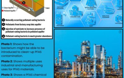 BF: Waste – Forever Chemicals