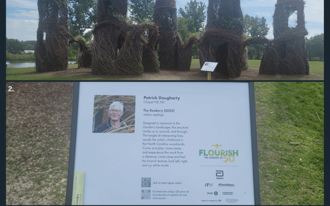 Cover image of Rokkery BM