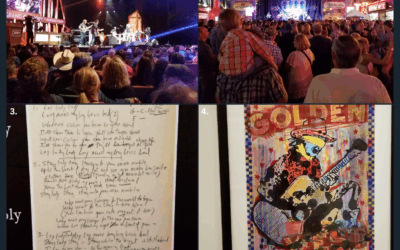 BM: Lay Lady Lay (October 2016)