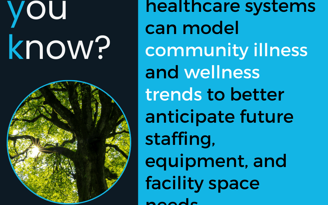 204-DYK: Balancing Healthcare Systems Through Data