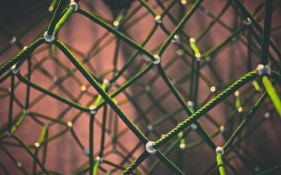 110. Data Structures: Families, Details, Notes 